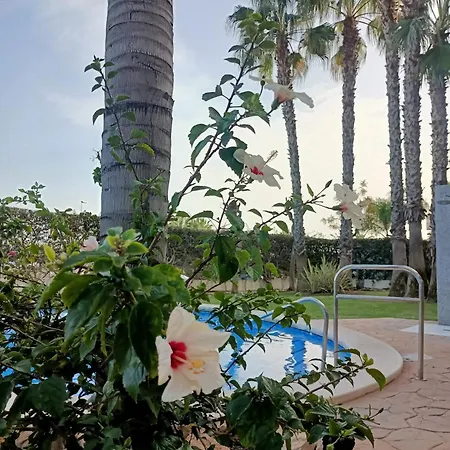 Sunny Ground Floor Terrace 4 Pools Garden La Calma Palmas De Coco Apartmán Playa Flamenca