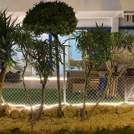 Apartment Palmas De Coco Playa Flamenca