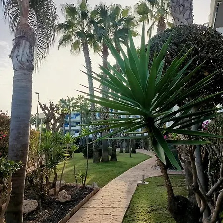 Апартаменты Palmas De Coco *