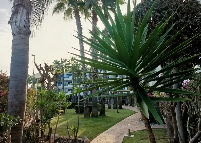 Апартаменты Palmas De Coco *