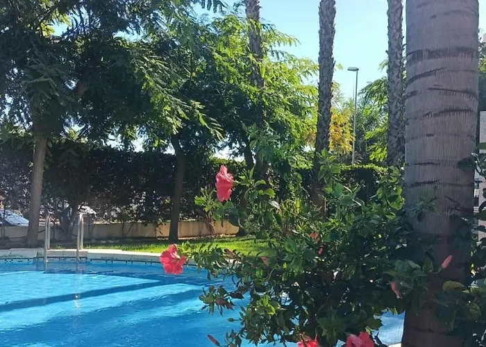 Апартаменты Palmas De Coco *