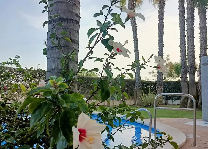 Palmas De Coco Апартаменты Плайя-Фламенка